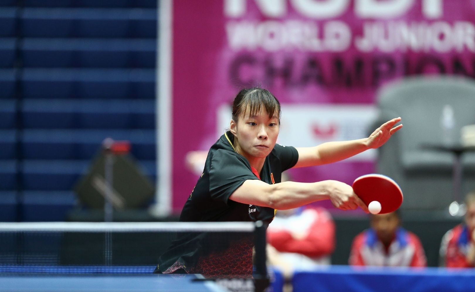 其他有潜力 其他有潜力