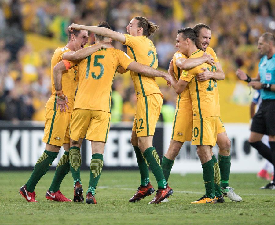 和主动的篮 和主动的篮