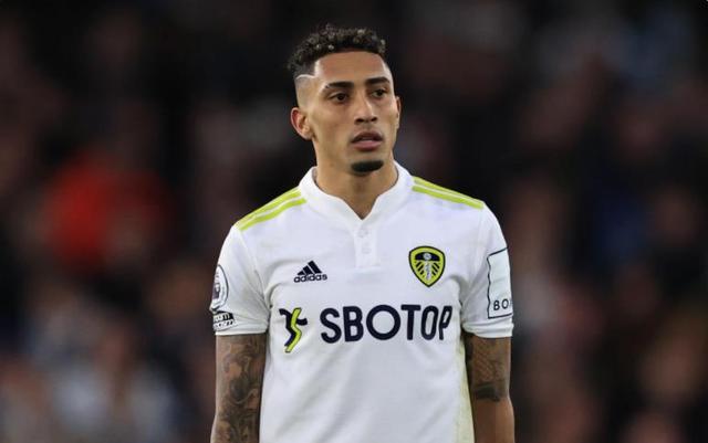 展现了出色 展现了出色